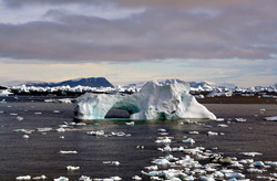 Icebergs around Cape York,Greenland. Image used under GNU Free Documentation License